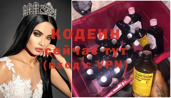 индика Горнозаводск